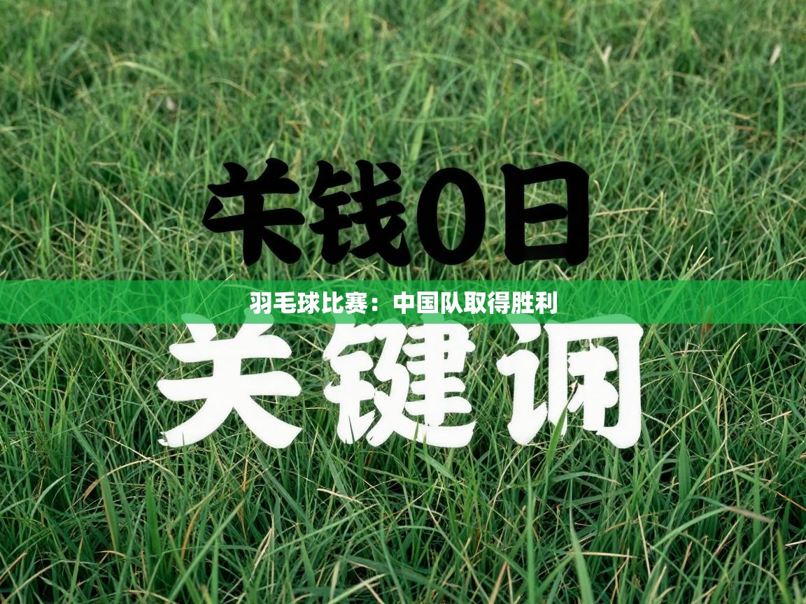 羽毛球比赛：中国队取得胜利  第1张