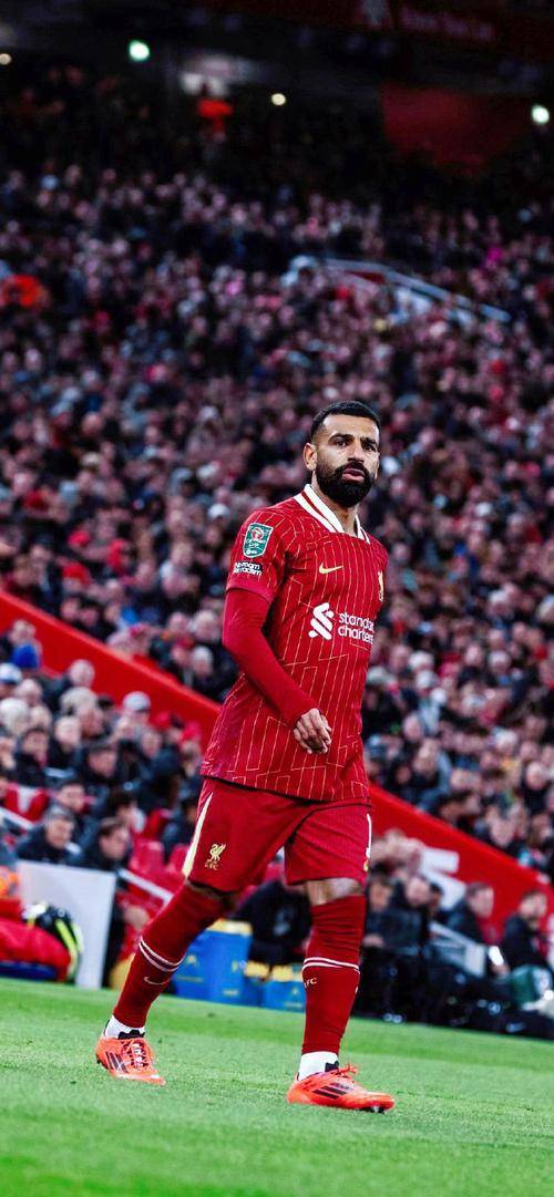 爱游戏官网-萨拉赫破门率领利物浦卫冕英超冠军